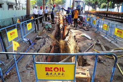 15天225米燃气管道成功穿越鸭涌河床珠海对澳供气第一管正式贯通